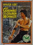 The Green Hornet (Das Geheimnis der grünen Hornisse)